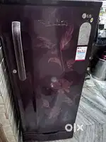 Lg 2019 model