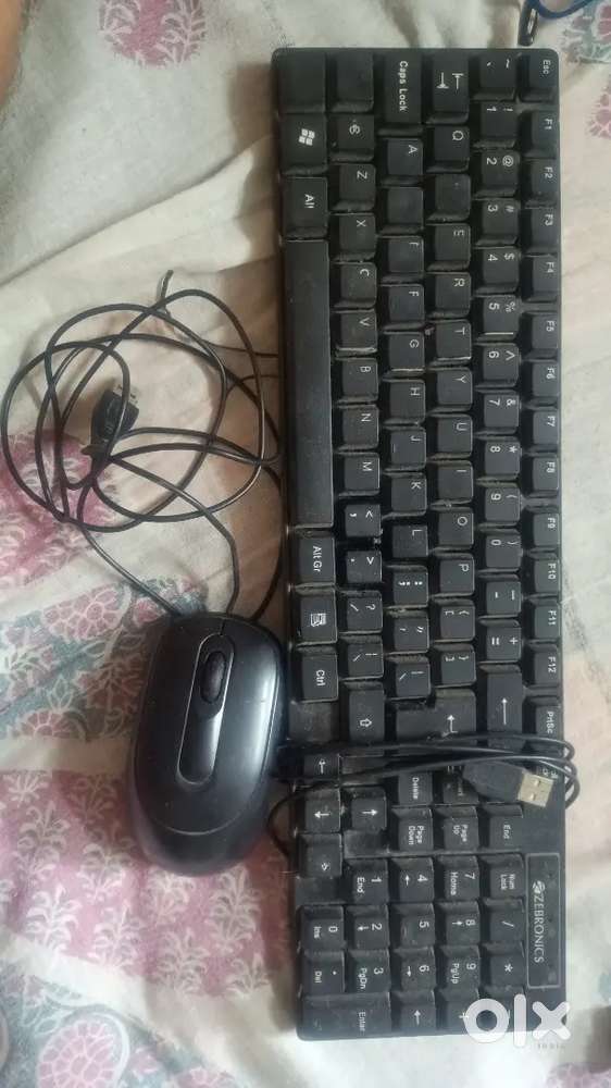 Mouse and keyboard
