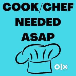 Need Cook + Helper