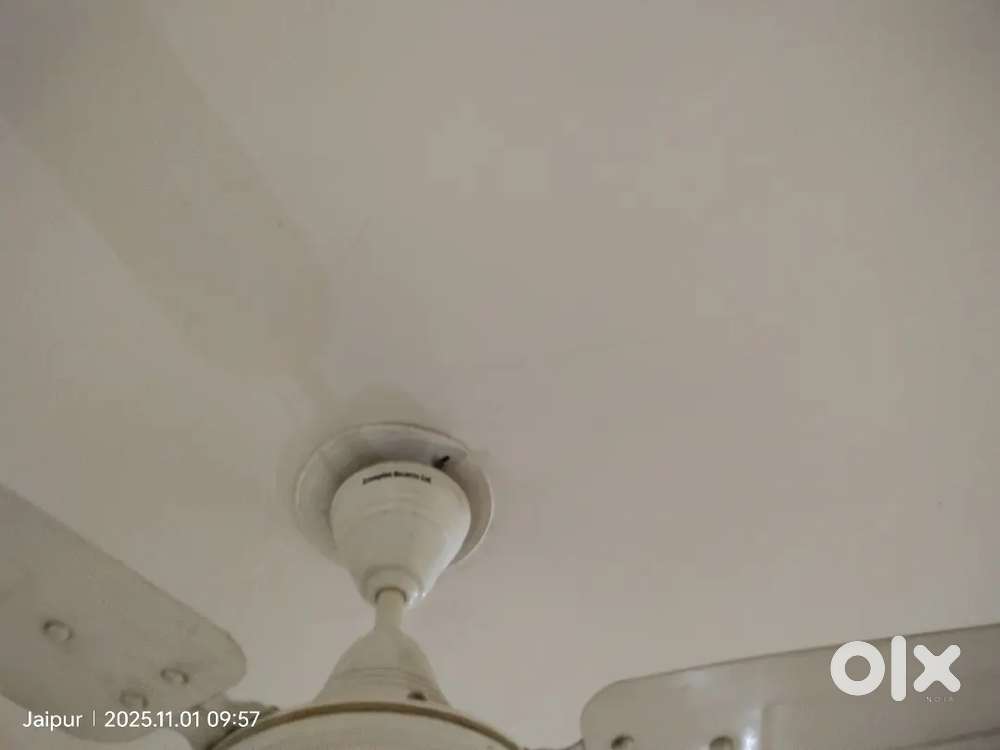 Orient 3 blade fans 5 fans 1200x5