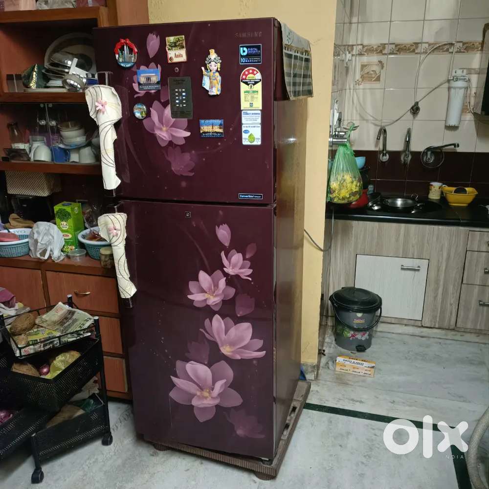 Samsung fridge 20 year old