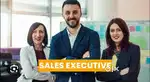 Urgent Hiring Sale Executive/ Team Leader / at Location Zirakpur