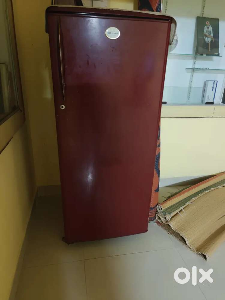 Fridge for sales