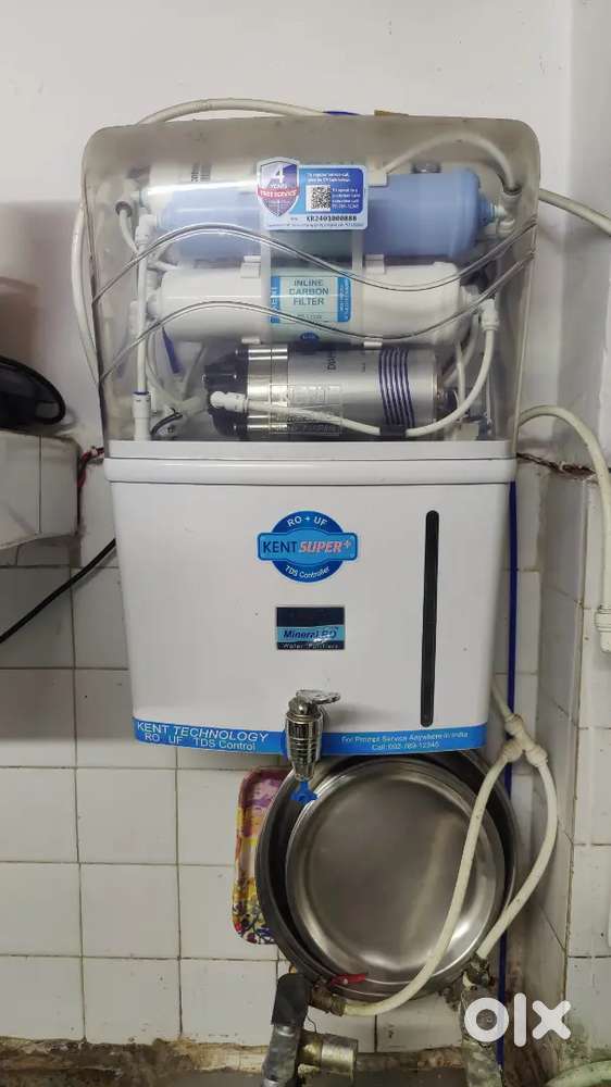 Kent Ro One year old