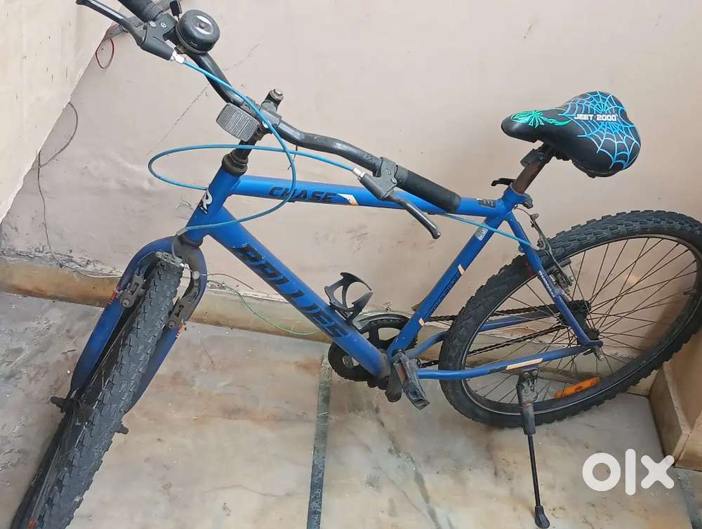 Rallies Chase Bicycle
