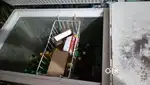 Deep Freezer Voltas