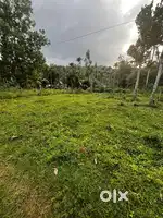 8 cents land for sale