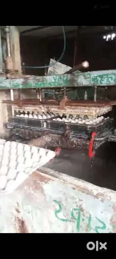 Egg Tray Manufacturing Unit