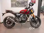 Triumph scrambler 400 X brand new