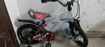 Gro cycle 2&4 years