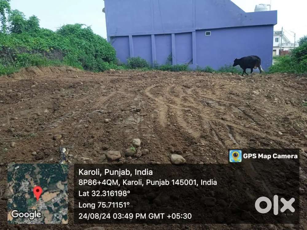 14Mali plot 20 foot Gali pind Karauli mamun ptk