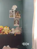 Looking for a roomate