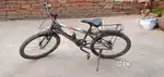 Sungold brand cycle