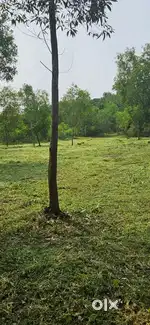 1 acre Level Land at  Pariyaram NH 2 km