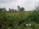 Sarodha road me plot bechna hai
