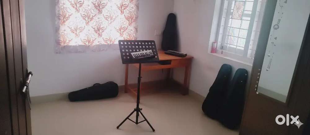 Violin & Melodica class
