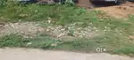 Land is for sale