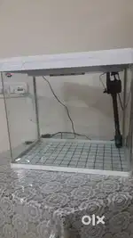 Glass Fish Tank