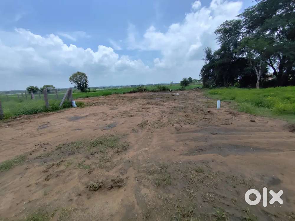 Agriculture land for sale