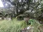 COMMERCIAL LAND FOR SALE AT PALARIVATTOM PIPELINE ROAD