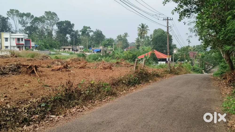 ഞാലിയാകുഴി .10 cent house plot.1.65 .lakh.