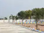 Launching offer