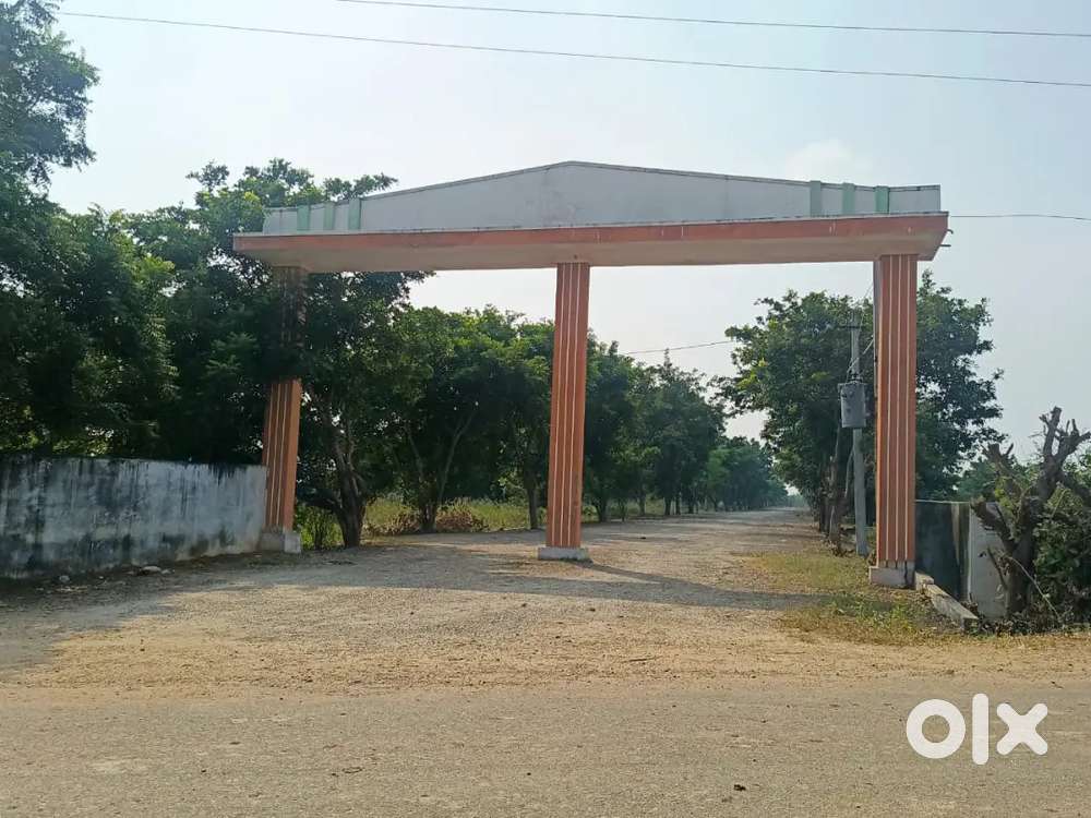 గజం కేవలం ₹3,999/- DTCP ఆమోదిత లేఅవుట్ – వినుకొండ