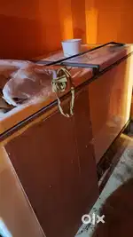 Commercial Deep Fridge