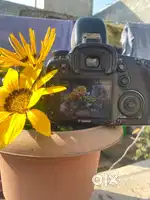 Canon 7D Camera