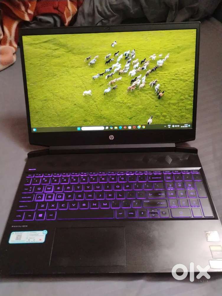 HP pavilion laptop