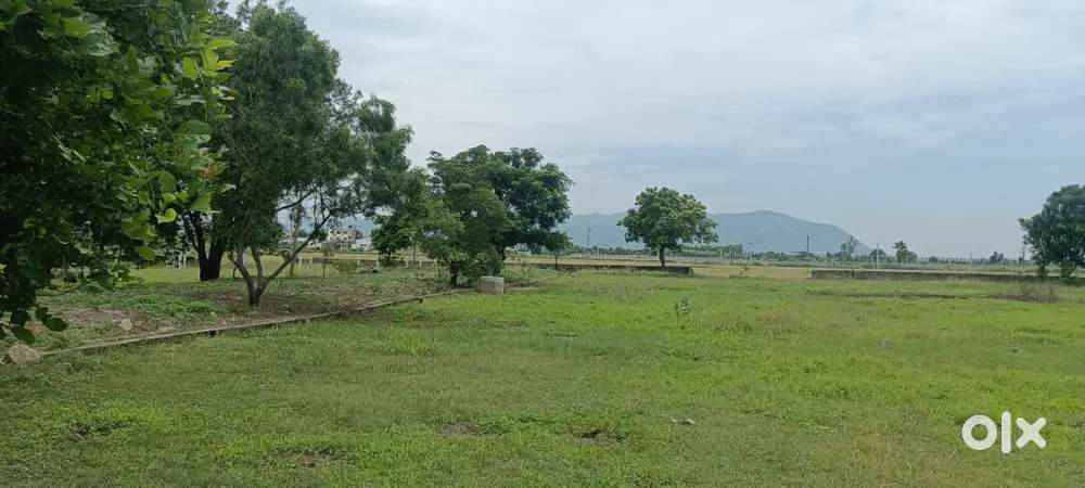 APPROVED  PLOT 45 ANKANS WEST FACE 4KMS TO TIRUPATI AIRPORT