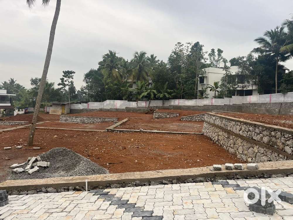 4,5,6cent House Plots Powdikonam