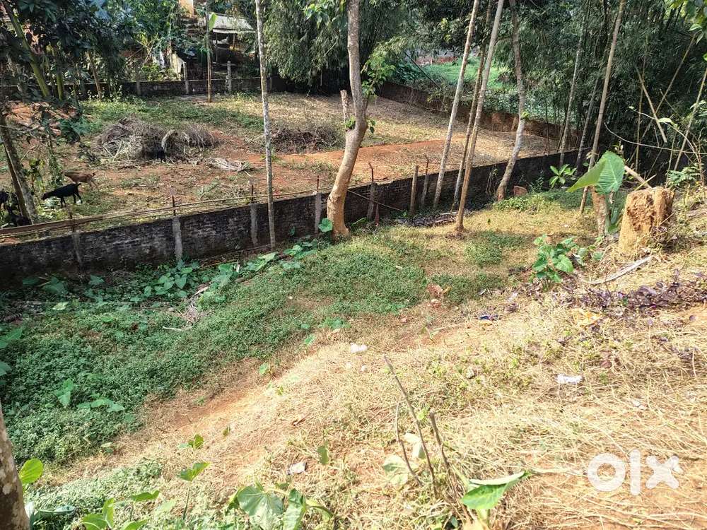 1katha mati , east gotanagar addingiri path