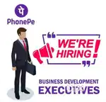 BUSINESS DEVELOPMENT EXECUTIVE