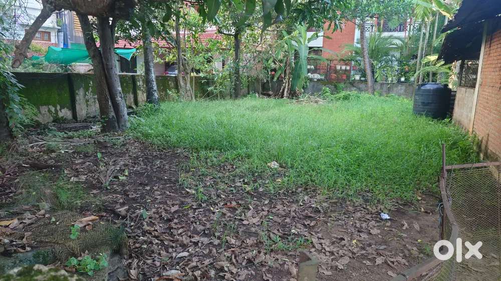 10 cents near kaloor international stadium