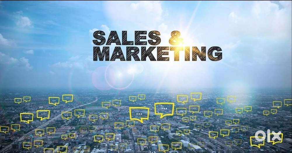 Marketing & Sales Executive