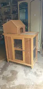 Billi Ka Ghar