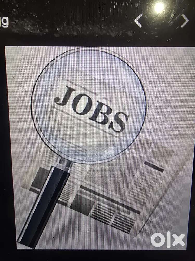 Office Boy and Assistant job