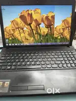 Lenova Laptop