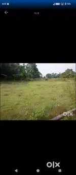 Adha biga/ Gogamukh Moharicamp