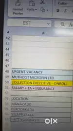 COLLECTION EXECUTIVE