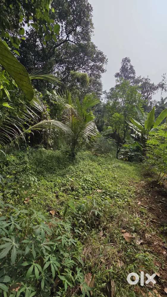 10 Cent Plot with Way For Sale