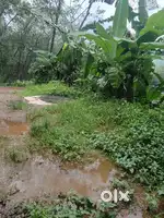 30 Cent Land for Sale – ₹30 Lakh