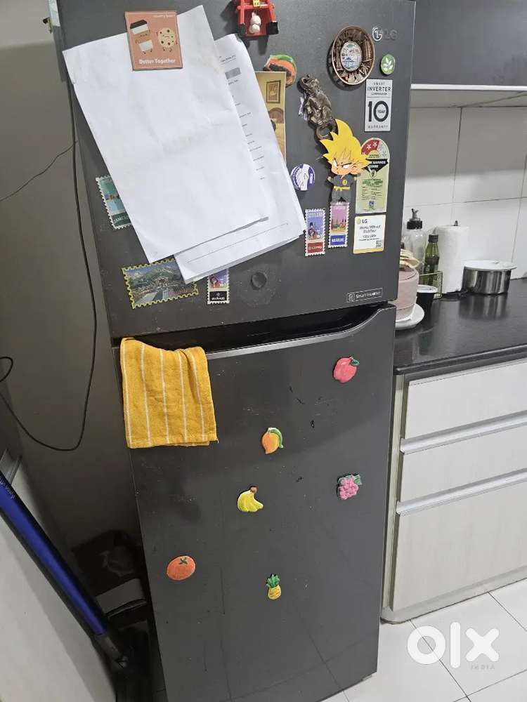 LG Double Door Refrigerator