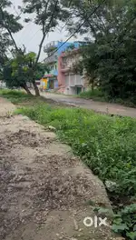 Open Green Plot For Rent  In Prime Location Patna