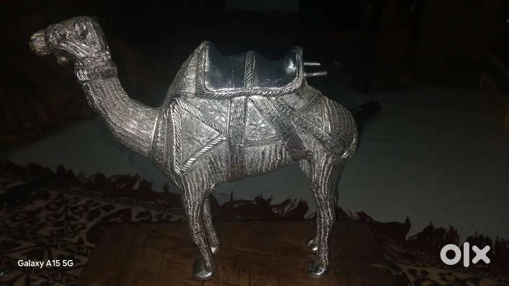 Silver cemel