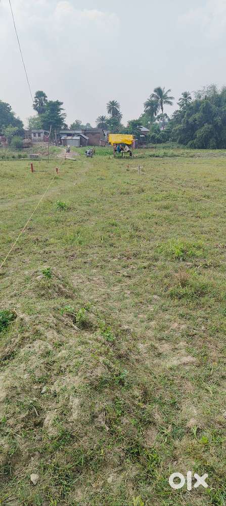 Residential plot for sale in maniya pipra