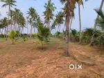 Beautiful and peaceful land suitable for cultivation and resort