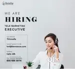 Telemarketing Executives