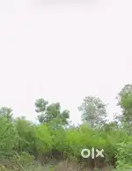 25 cent - House Plot for Sale